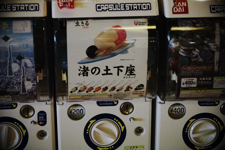 IMGP0002.jpg(296054 byte)