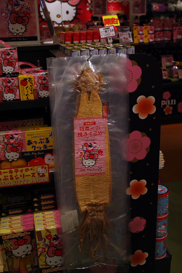 IMGP0020.jpg(322647 byte)