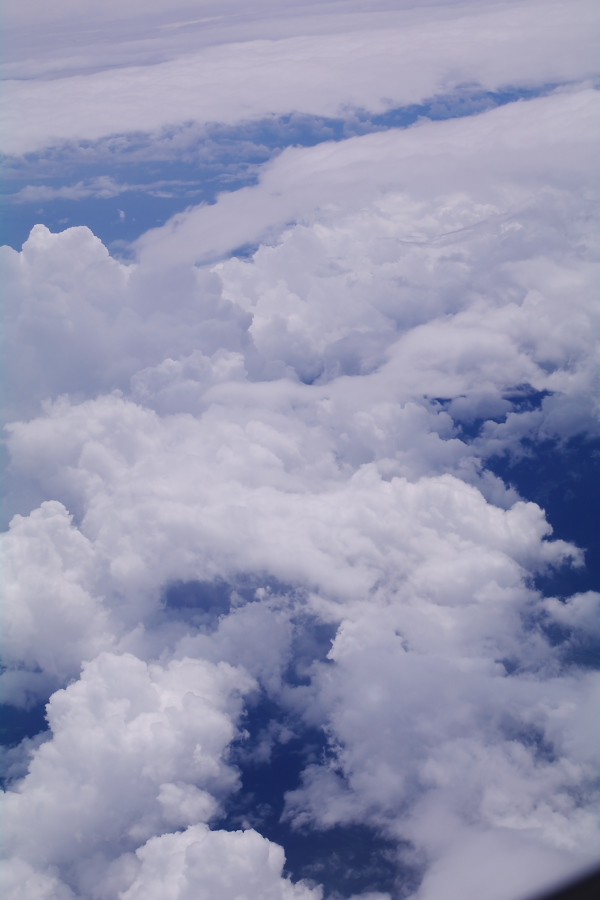 IMGP0032.jpg(160194 byte)