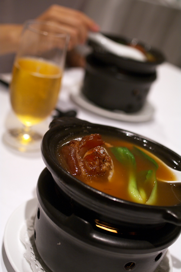 IMGP0126.jpg(191201 byte)