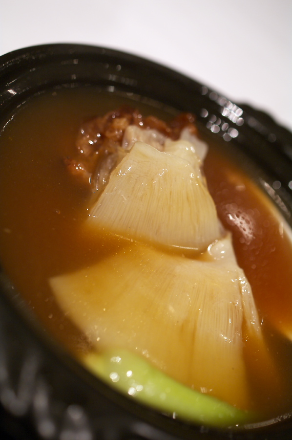 IMGP0130.jpg(185105 byte)