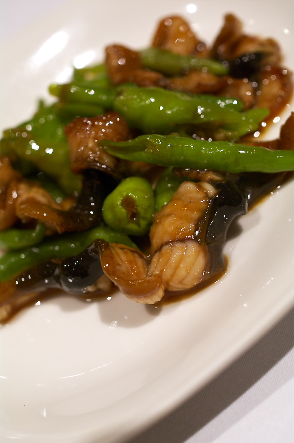 IMGP0138.jpg(206222 byte)