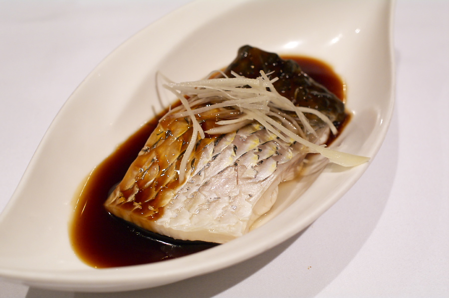 IMGP0156.jpg(208585 byte)