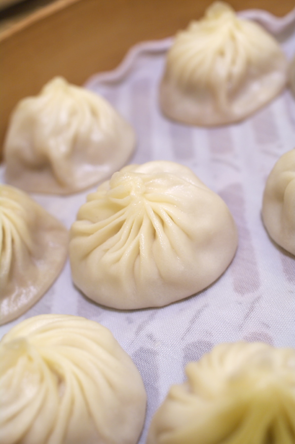 IMGP0033.jpg(172712 byte)