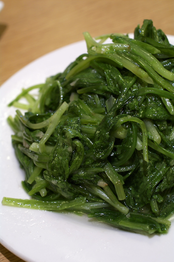 IMGP0045.jpg(268079 byte)