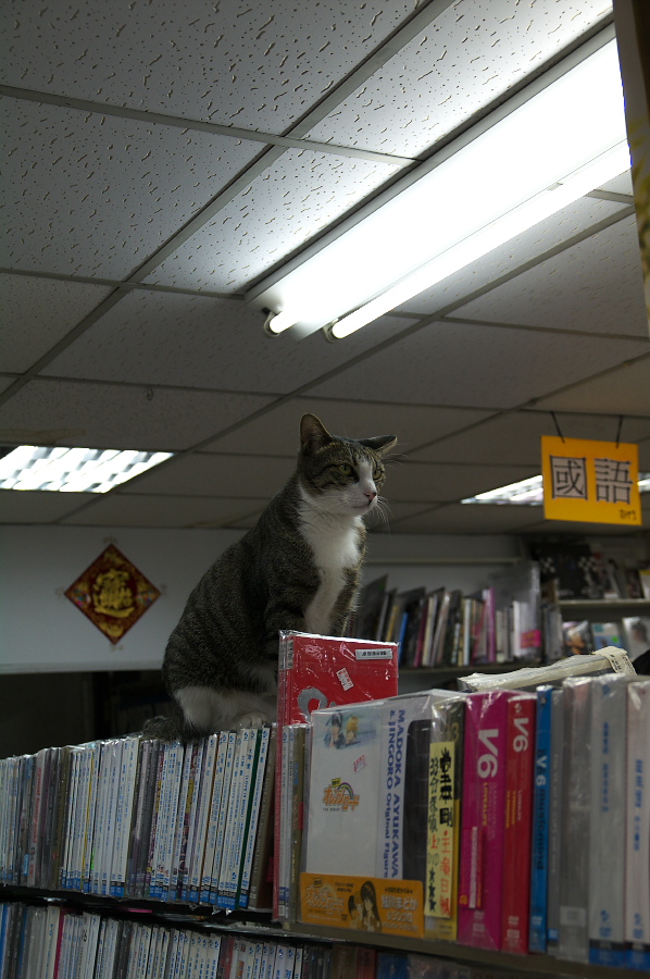 IMGP0147.jpg(309447 byte)