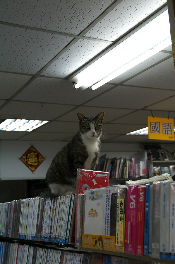 IMGP0148.jpg(310970 byte)