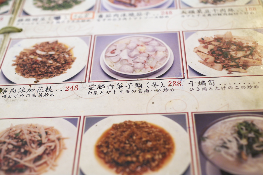 IMGP0250_1.jpg(261998 byte)