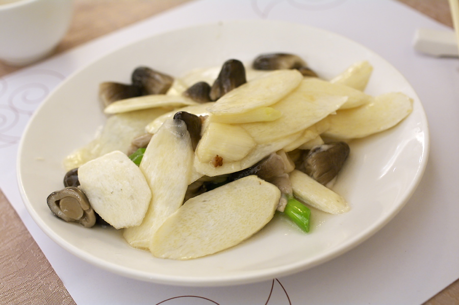 IMGP0254.jpg(199265 byte)