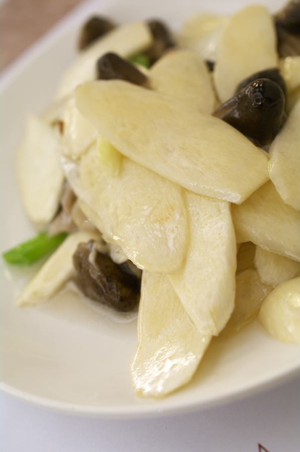 IMGP0256.jpg(183321 byte)