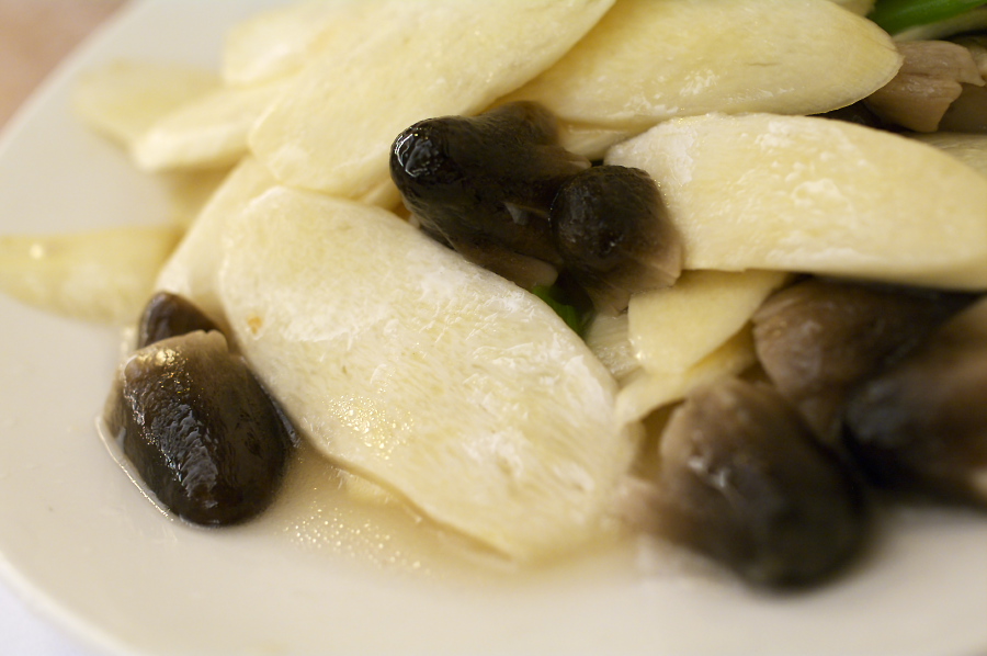 IMGP0262.jpg(202975 byte)