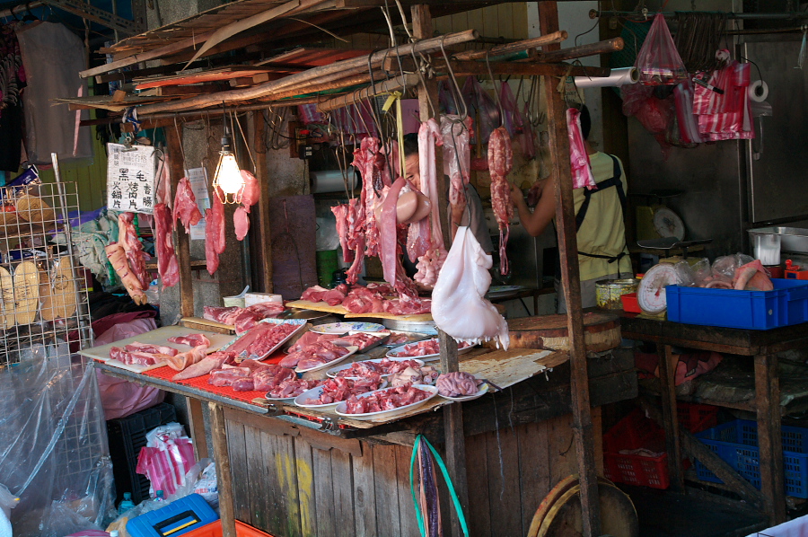 IMGP0065.jpg(445159 byte)