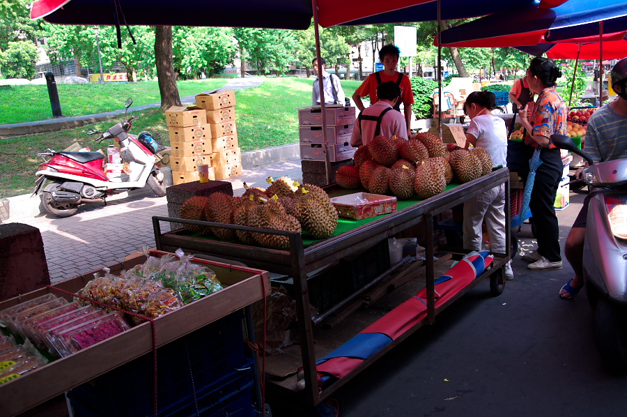 IMGP0075.jpg(453431 byte)