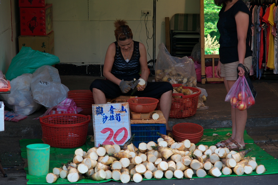 IMGP0096.jpg(335934 byte)