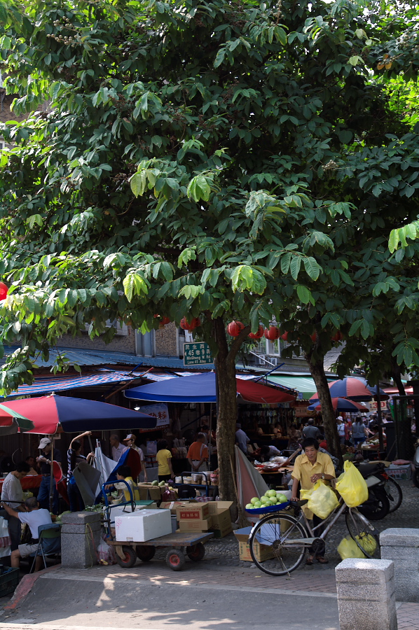 IMGP0112.jpg(500799 byte)