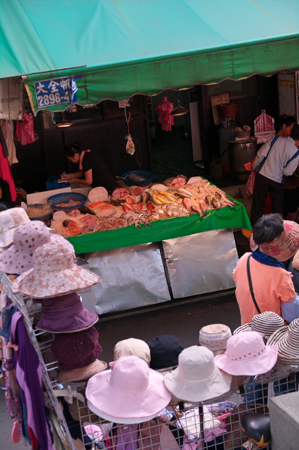 IMGP0123.jpg(324124 byte)