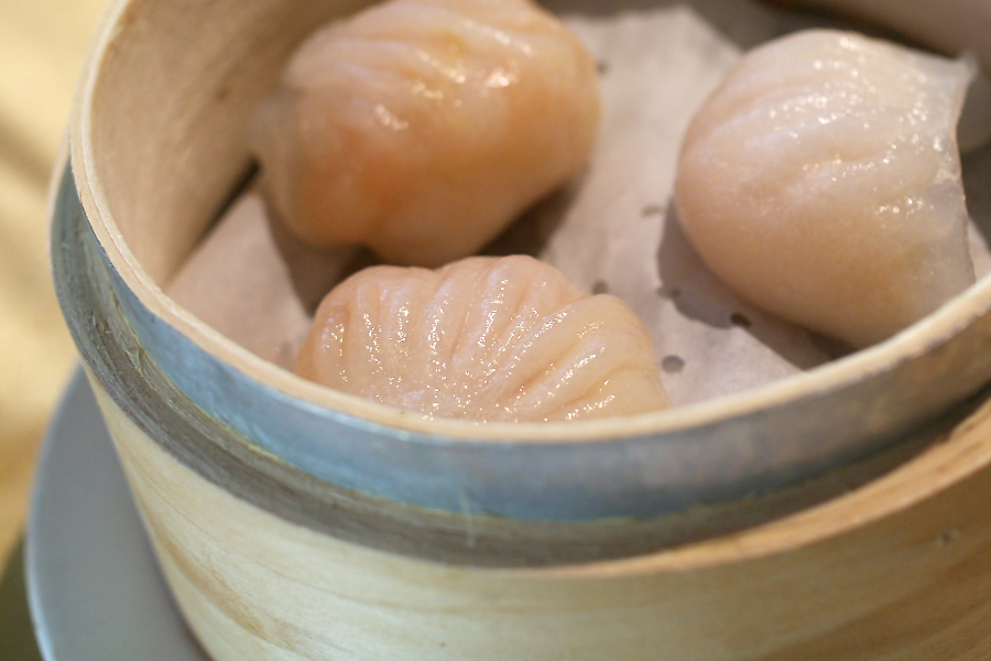 IMGP0163.jpg(197342 byte)