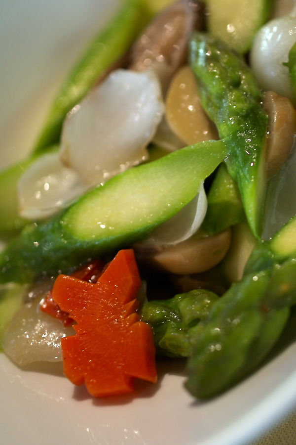 IMGP0187.jpg(211186 byte)