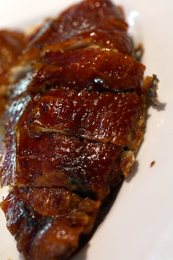 IMGP0192.jpg(309006 byte)