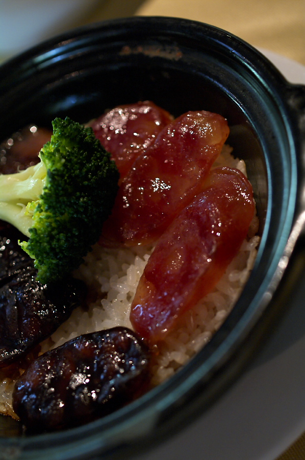 IMGP0204.jpg(279559 byte)