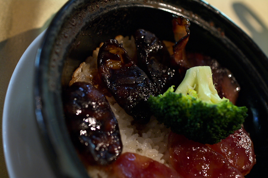 IMGP0205.jpg(277565 byte)