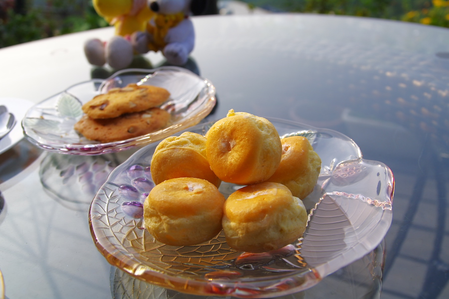 IMGP0415.jpg(233728 byte)