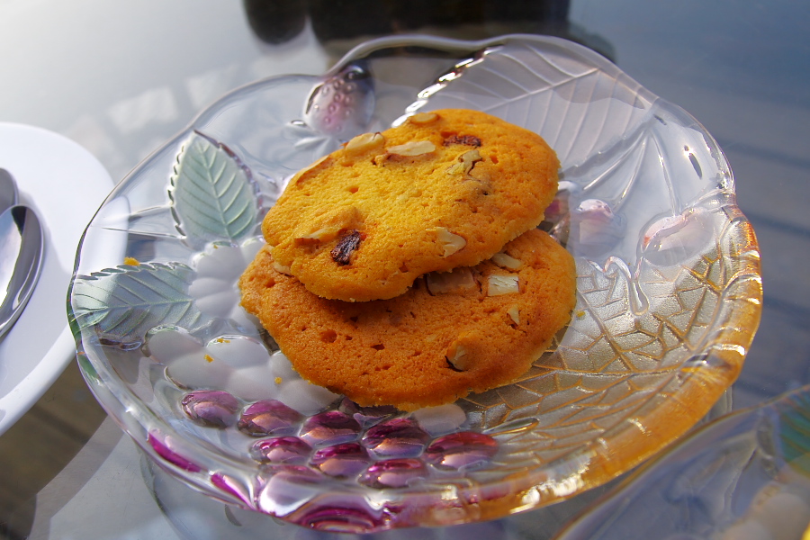 IMGP0417.jpg(299518 byte)