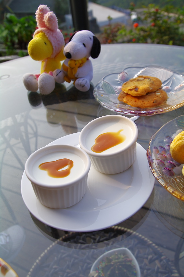 IMGP0419.jpg(215061 byte)