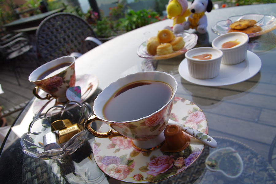 IMGP0422.jpg(261188 byte)