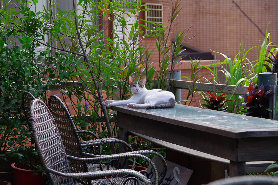 IMGP0426.jpg(458061 byte)