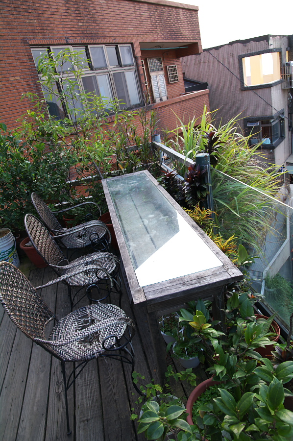 IMGP0432_1.jpg(496185 byte)