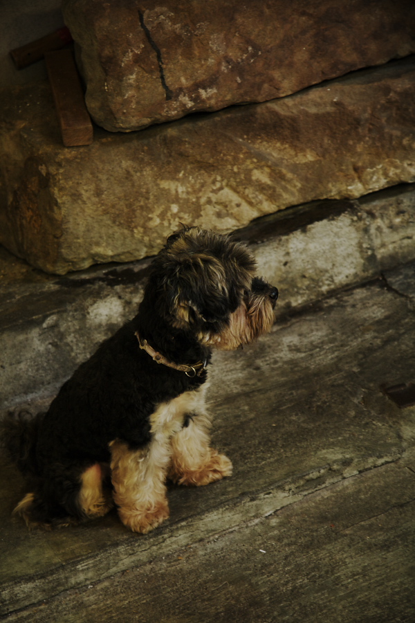 IMGP0025.jpg(295941 byte)