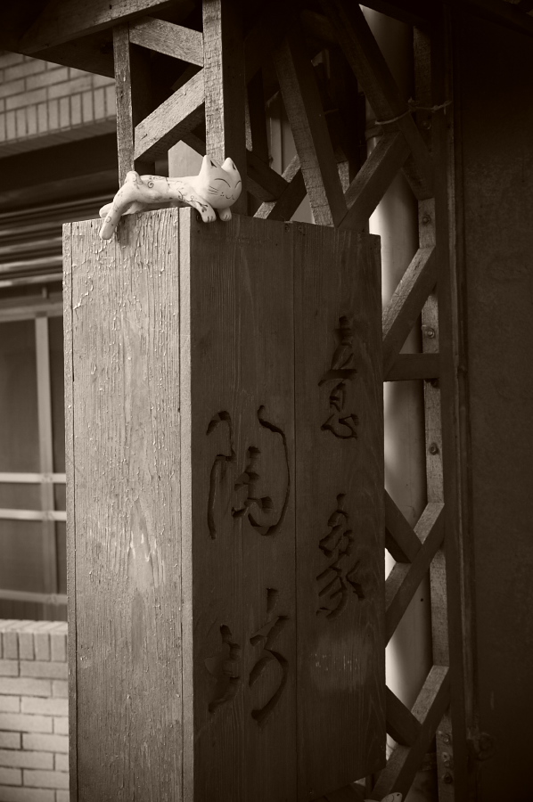 IMGP0438.jpg(216832 byte)