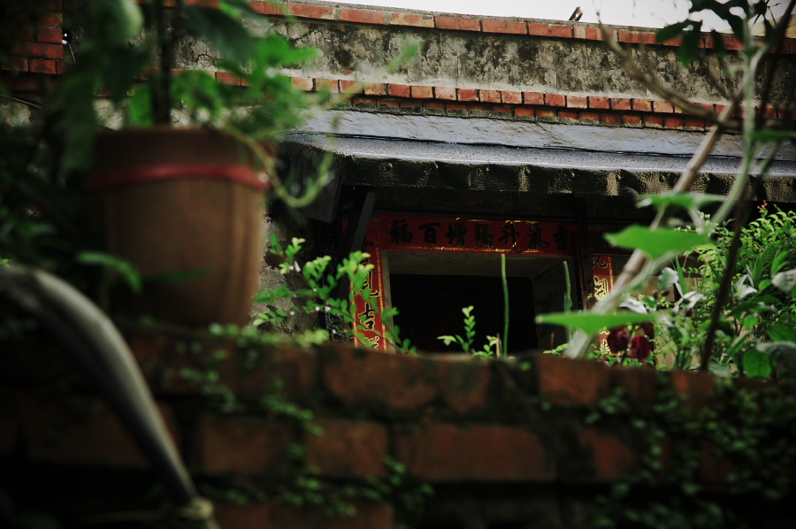 IMGP0452.jpg(278684 byte)