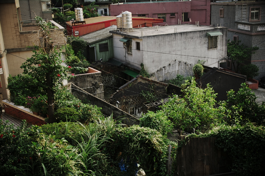 IMGP0464.jpg(465289 byte)