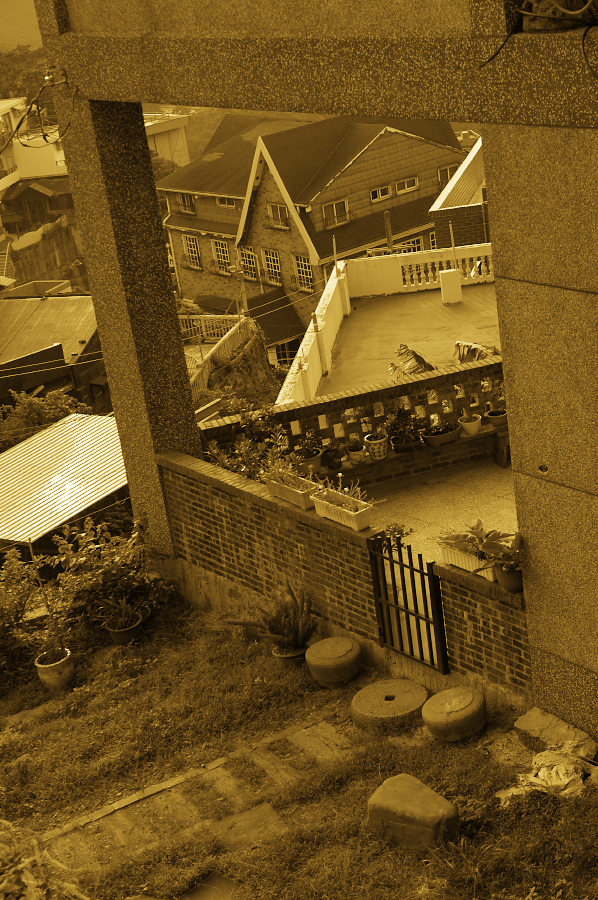 IMGP0465.jpg(528210 byte)