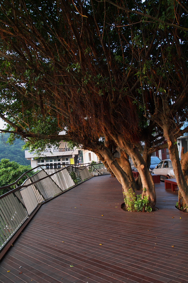 IMGP0471.jpg(498542 byte)