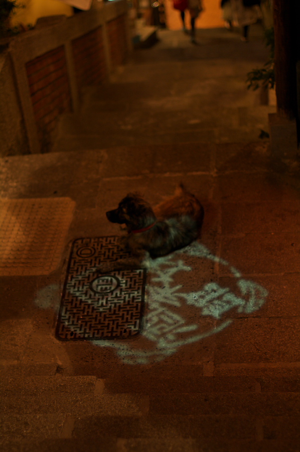 IMGP0007.jpg(237700 byte)