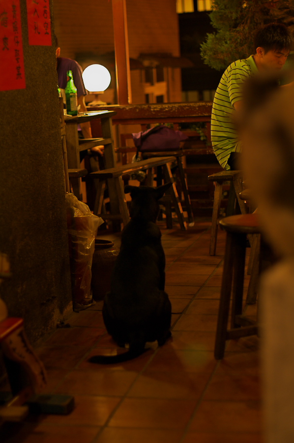 IMGP0013.jpg(224373 byte)