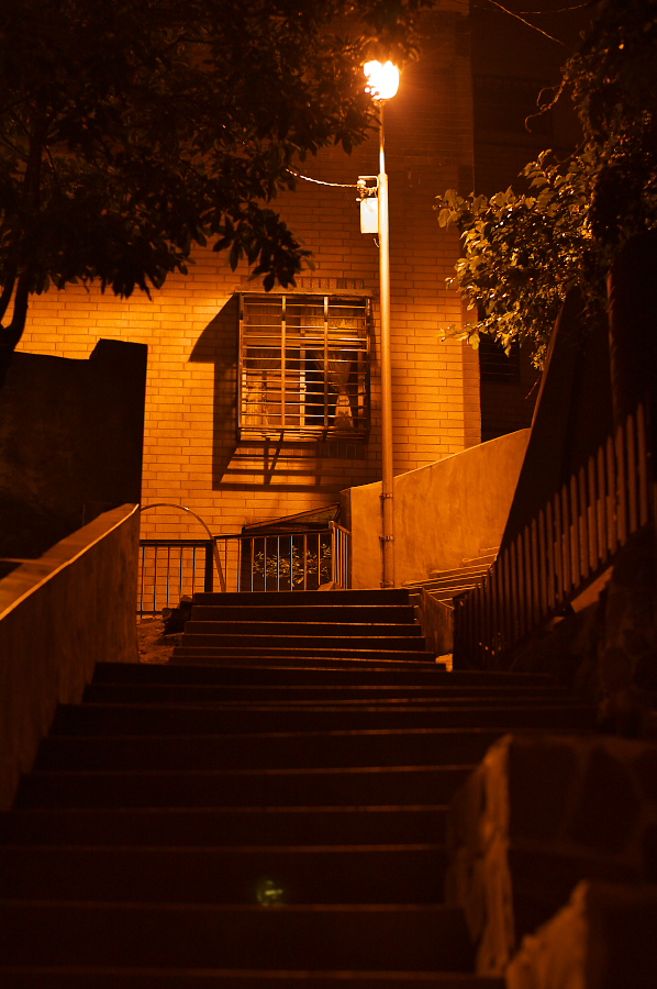 IMGP0160.jpg(319005 byte)