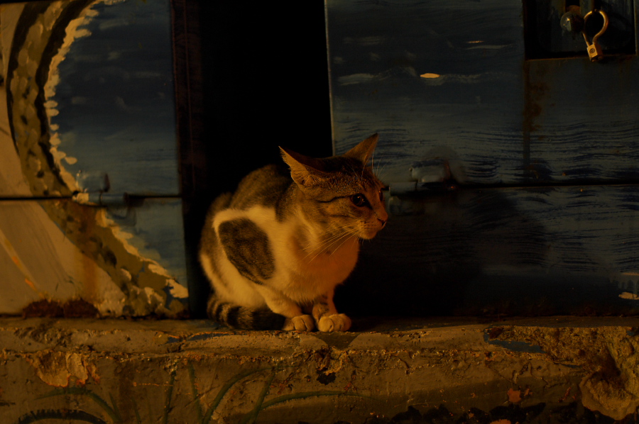 IMGP0189.jpg(263917 byte)