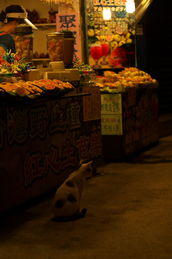 IMGP0190.jpg(253936 byte)