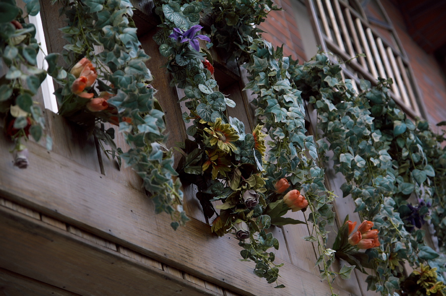 IMGP0005.jpg(372552 byte)