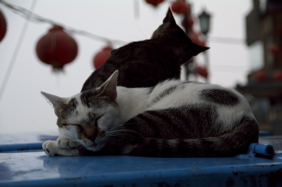 IMGP0012.jpg(188289 byte)