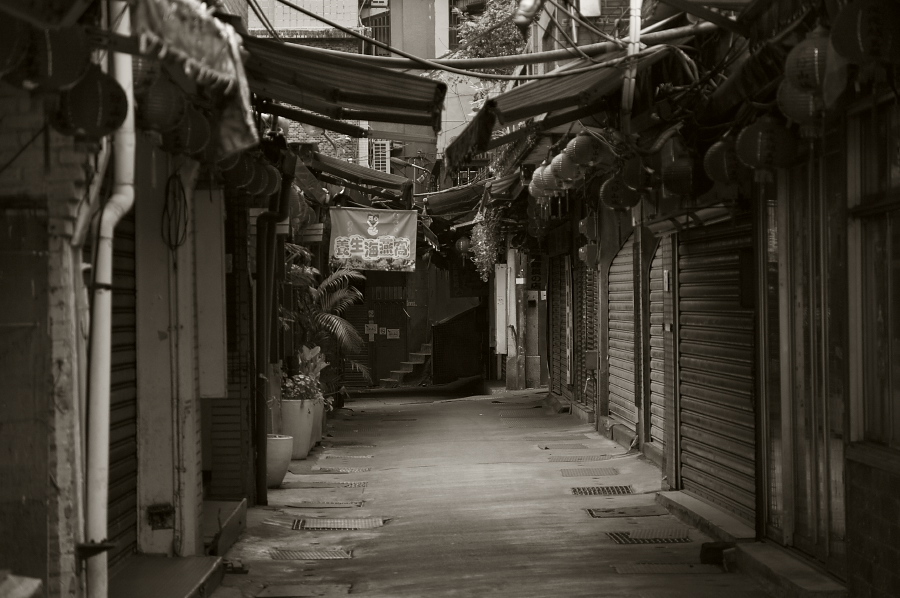 IMGP0017.jpg(255381 byte)