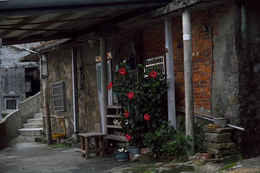 IMGP0035.jpg(368520 byte)