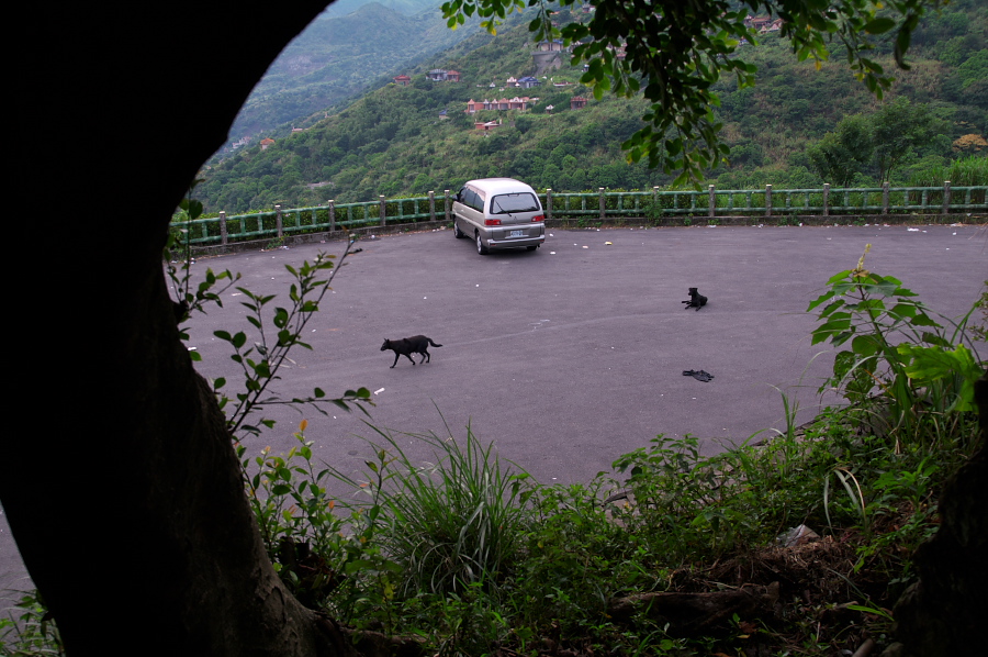 IMGP0053.jpg(359433 byte)