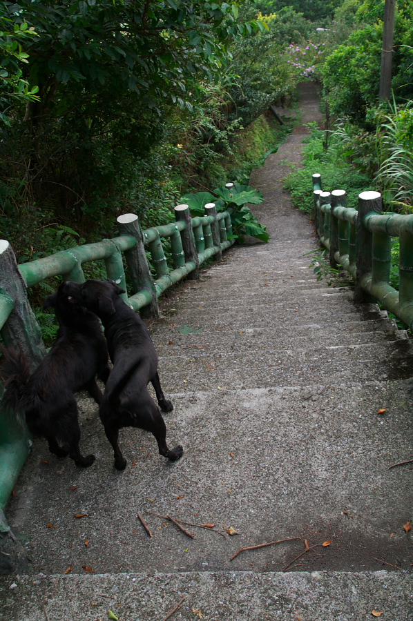 IMGP0057.jpg(491231 byte)