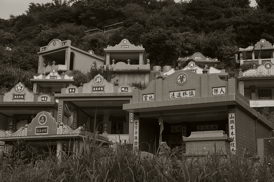 IMGP0070.jpg(359675 byte)