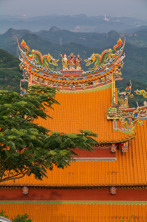 IMGP0081.jpg(485434 byte)